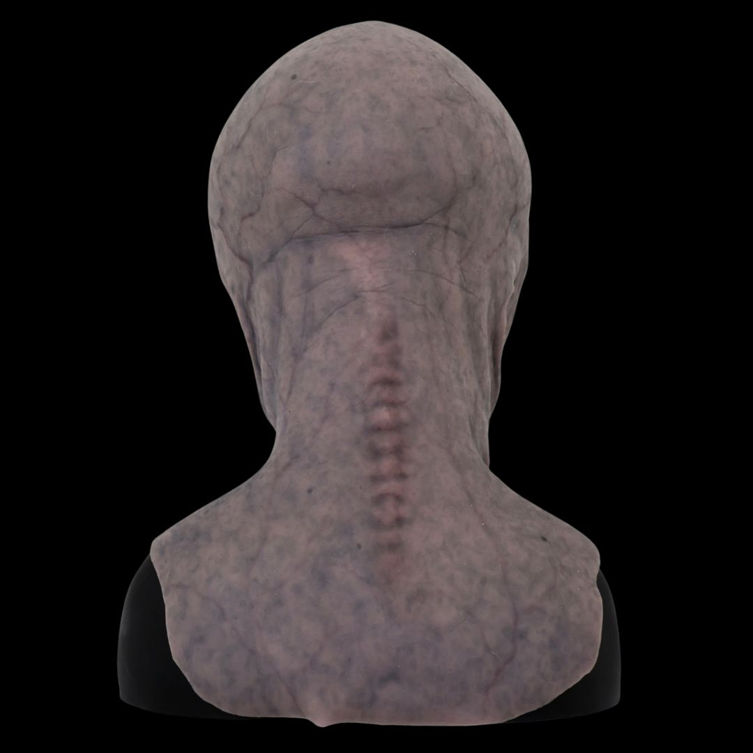 Alien Area-51 Realistic Mask — Halloween Horror Costume